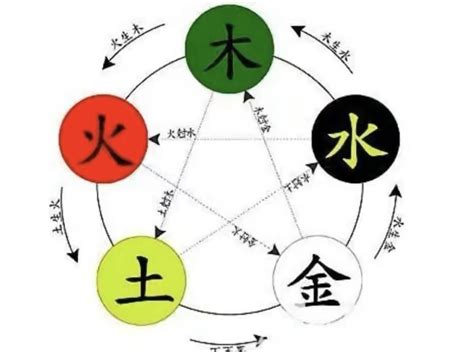 翔的五行|翔字的五行属性